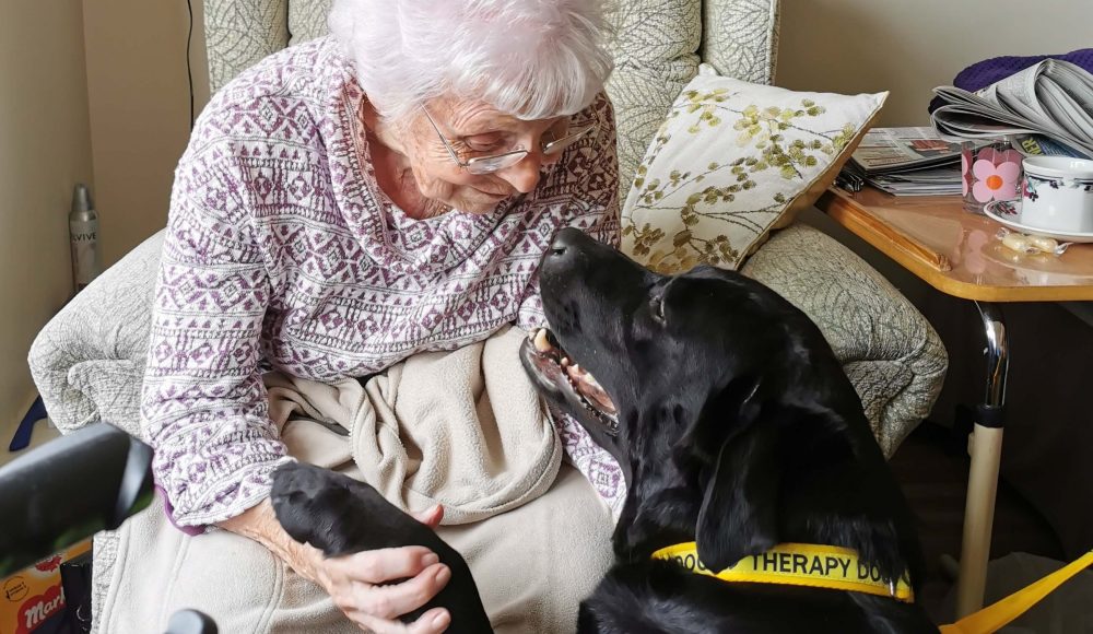 Resident Dylis Waddington ‘catches up’ with Stella, a therapy dog