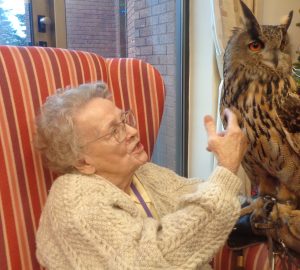 Delighted resident Cynthia Noakes getting to know Echo the European Eagle owl