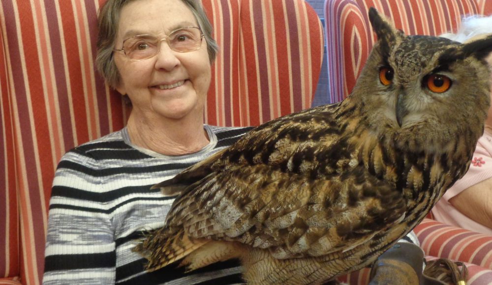 Resident Paula Anderson with Echo the European Eagle owl at RMBI Home Cadogan Court